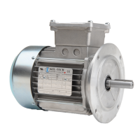 Light Weight Aluminum Motors